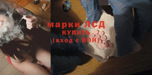 крисы Алзамай