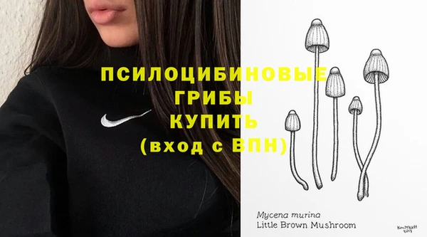 скорость Алексин