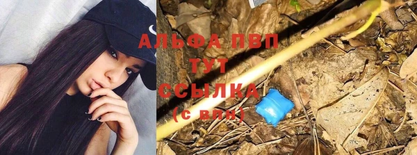 мет Арсеньев