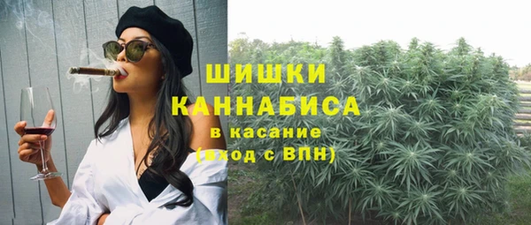 винт Армянск