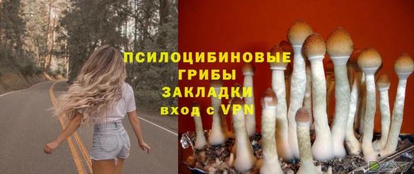 крисы Алзамай