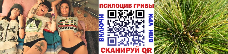 Псилоцибиновые грибы Psilocybine cubensis  Арсеньев 